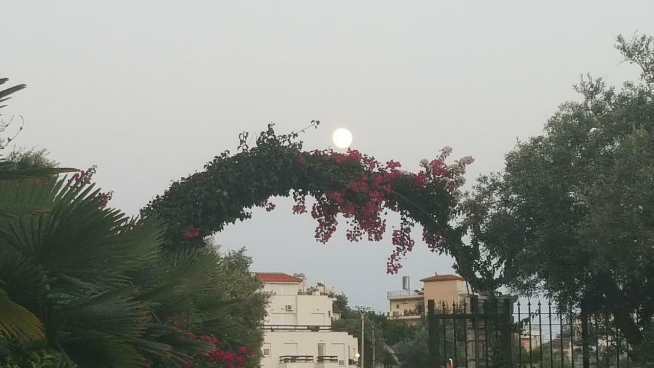 דרמי Season Inn מראה חיצוני תמונה