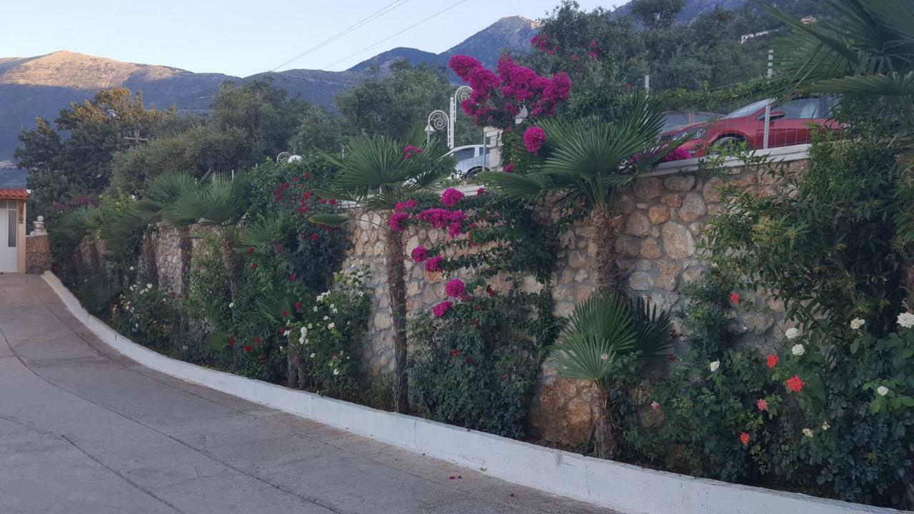 דרמי Season Inn מראה חיצוני תמונה